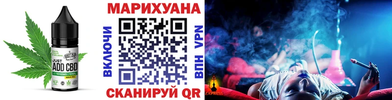 Canna-Cookies марихуана  гидра как зайти  Судогда  магазин продажи  