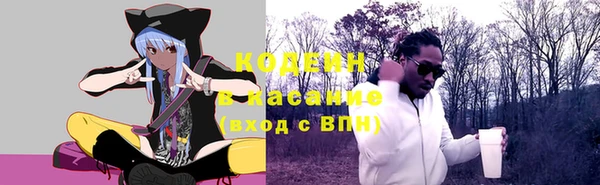 гашик Арсеньев