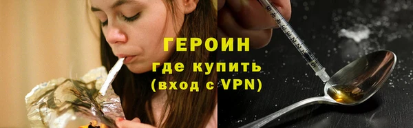 гашик Арсеньев