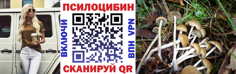 Галлюциногенные грибы MAGIC MUSHROOMS  KRAKEN ТОР  Судогда 