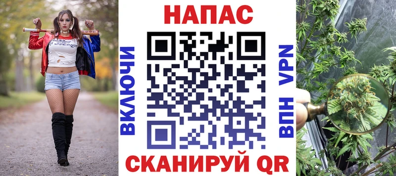 что такое наркотик  Судогда  Марихуана SATIVA & INDICA 
